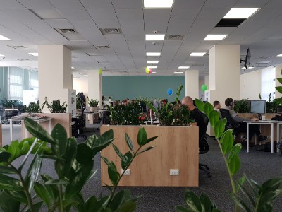 Open Space в офисе IT компании
